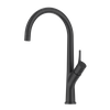 Material de grifo de cocina de estilo común negro