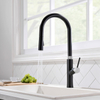 Grifo de cocina de grifo extraíble de agua de fregadero negro profesional con alta calidad
